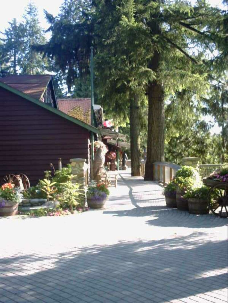 at capilano2.jpg