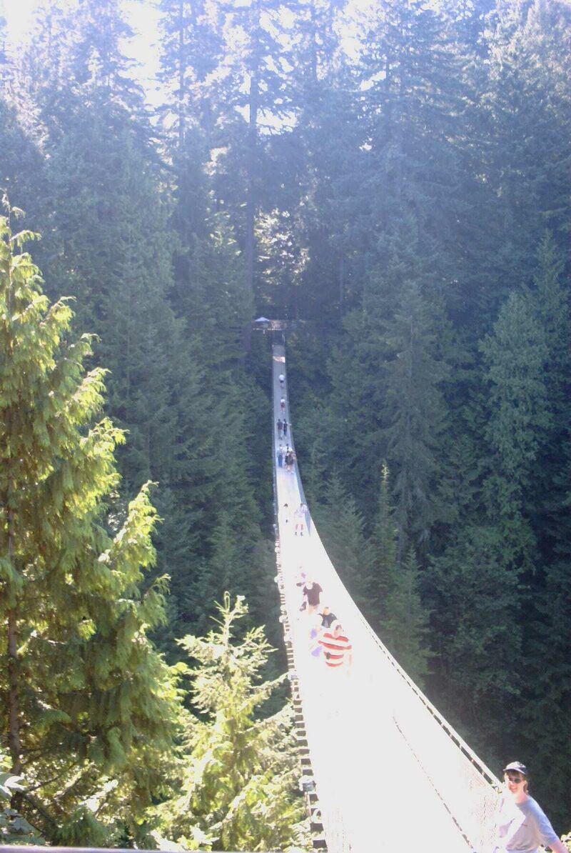 capilano suspension bridge.jpg