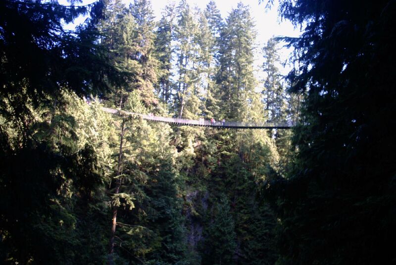 capilano5.jpg