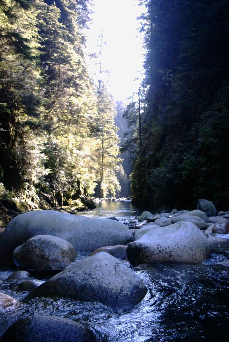 lynn creek3.jpg