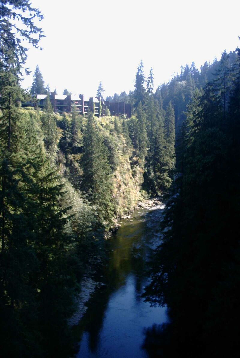 river at capilano.jpg