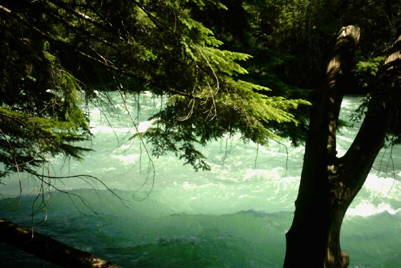 09 Cheakamus River.jpg