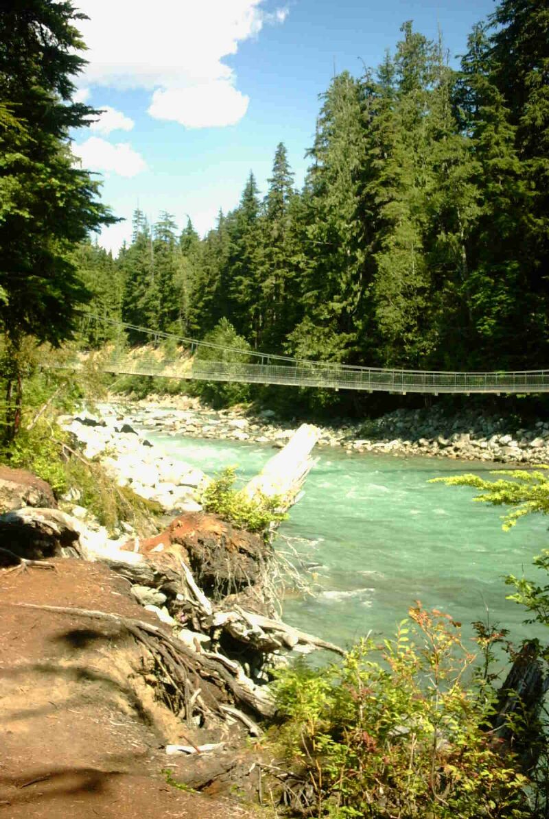 12 Suspension Bridge.jpg