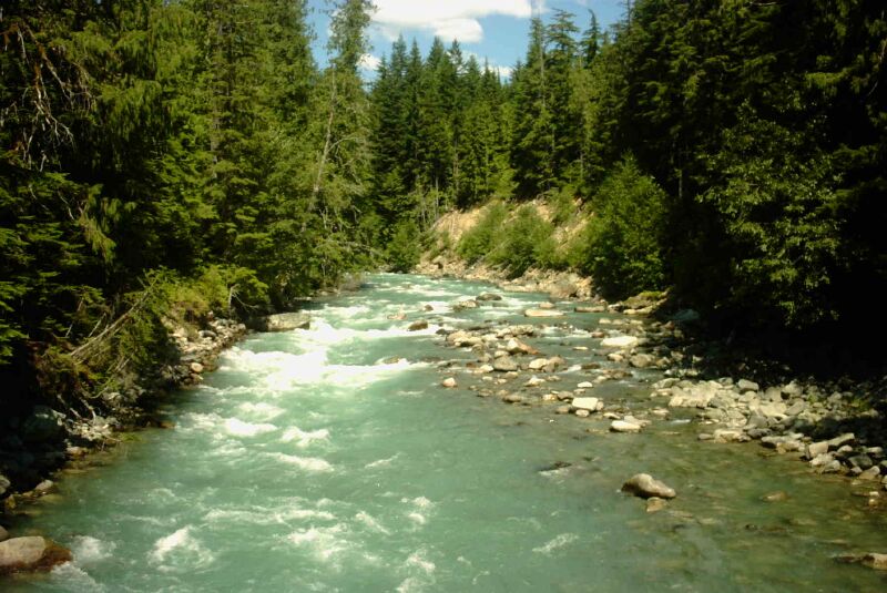 15 Cheakamus River.jpg