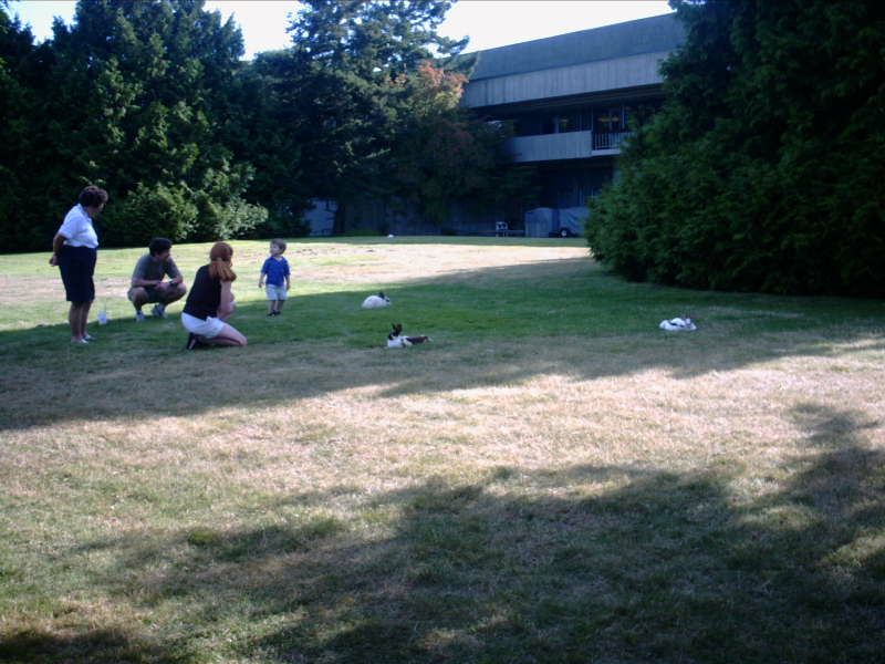 21 Bunnies at UVic.jpg