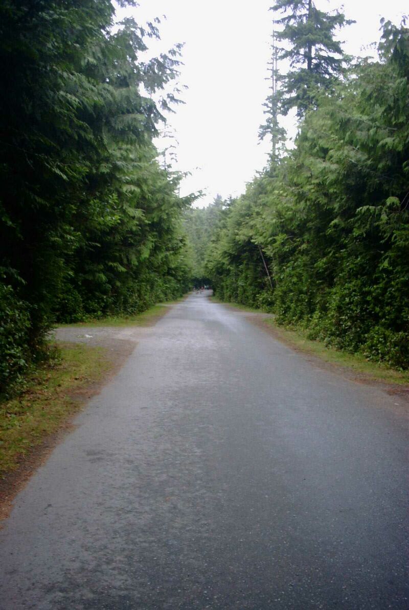 01 - Road at Campsite.jpg