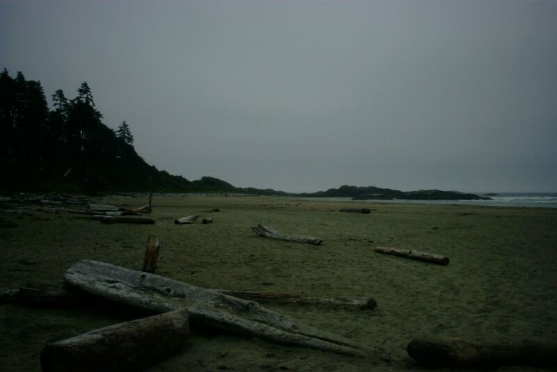 02 - Beach at Pacific Rim.jpg