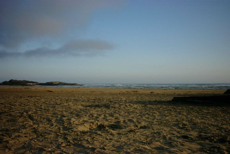 23 - Beach at Pacific Rim.jpg