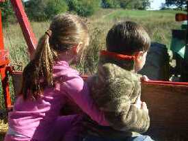 The Hay Ride